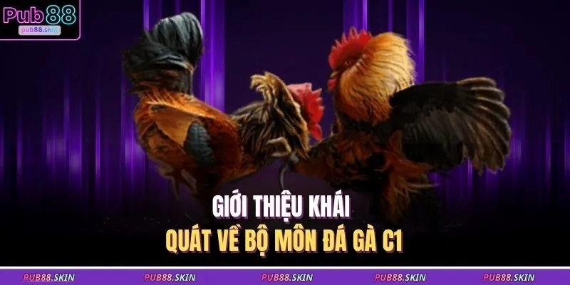 Đá Gà C1 – Trận Đấu Kịch Tính Săn Thưởng Siêu Hấp Dẫn 1 Giới thiệu khái quát về bộ môn đá gà C1