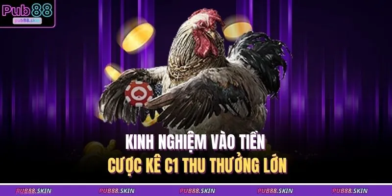 Đá Gà C1 – Trận Đấu Kịch Tính Săn Thưởng Siêu Hấp Dẫn 3 Kinh nghiệm vào tiền cược kê C1 thu thưởng lớn