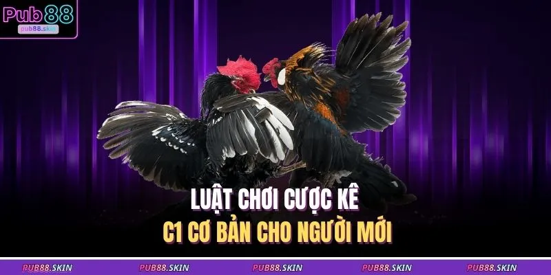 Đá Gà C1 – Trận Đấu Kịch Tính Săn Thưởng Siêu Hấp Dẫn 2 Luật chơi cược kê C1 cơ bản cho người mới